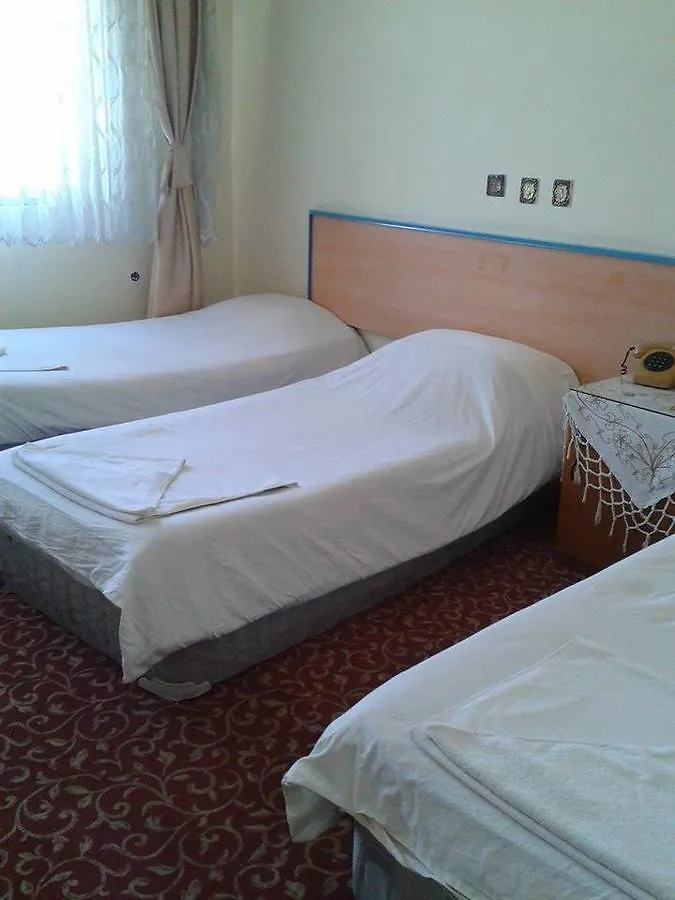 Ekinci Hotel Denizli  2*, Denizli (Denizli)
